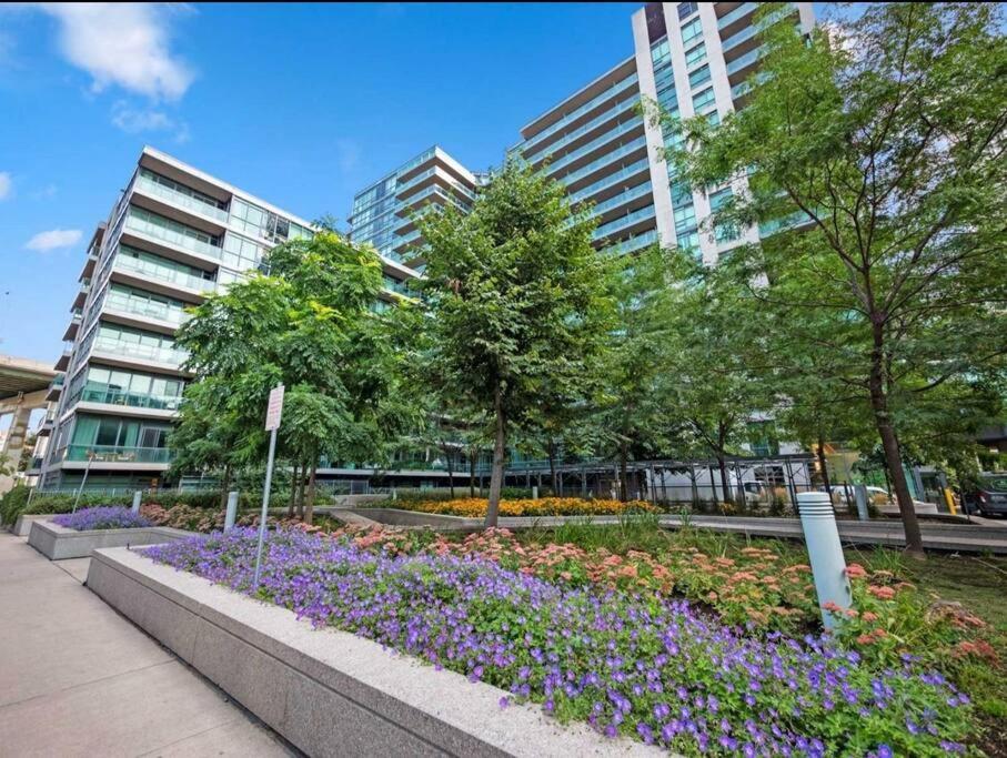 Cn Tower View With Free Parking, Pool, & More Amenities Toronto Eksteriør bilde